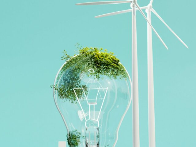 galina-nelyubova-SwSRLcBkwnI-unsplash